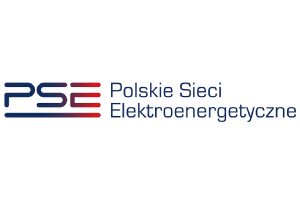 Polskie Sieci Elektroenergetyczne